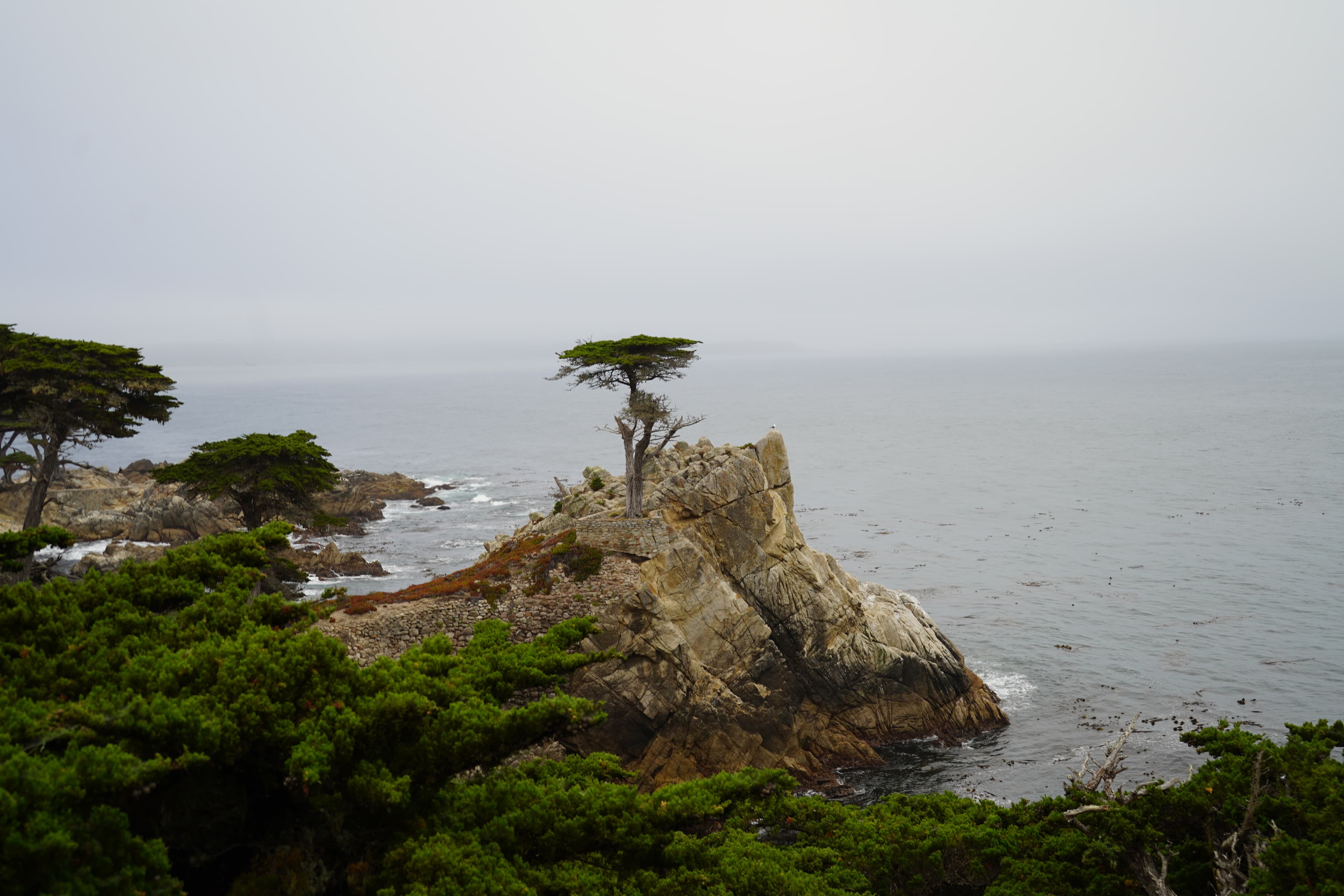 California