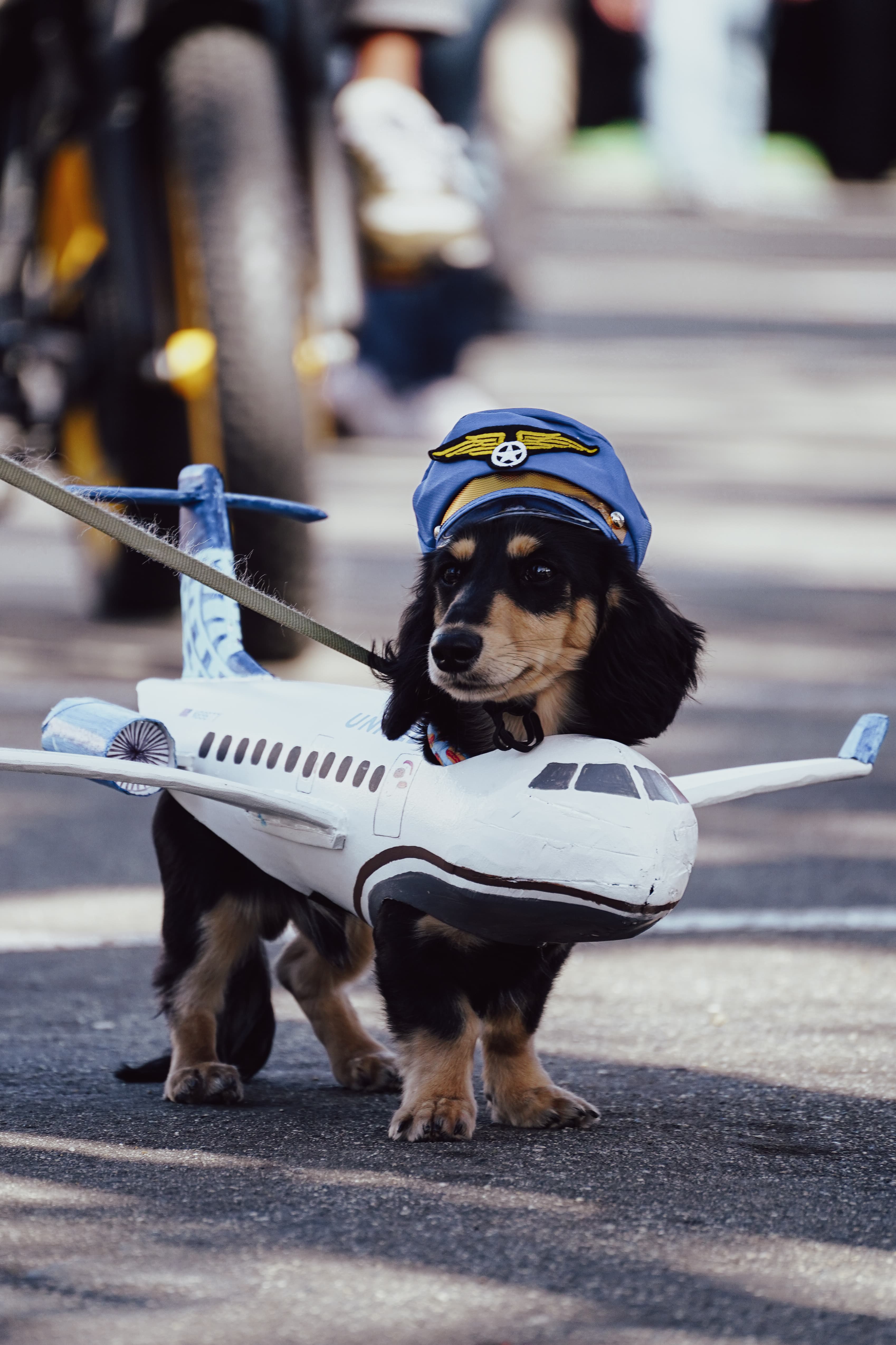 The pilot
