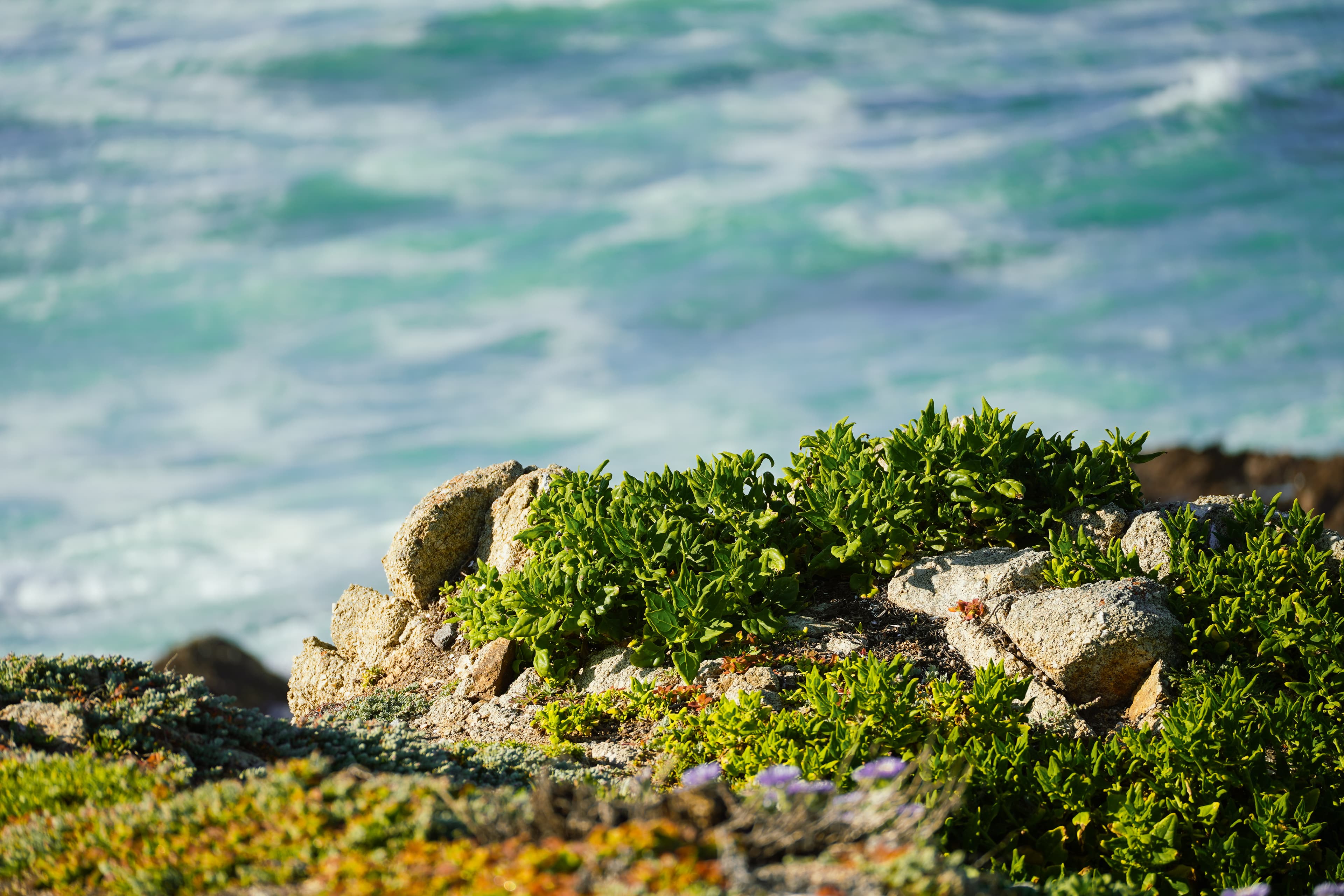 Along the bluff